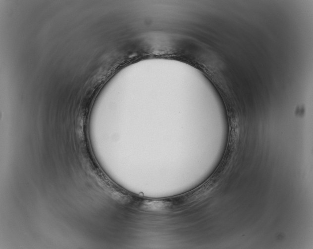 X0000115110269200911171312