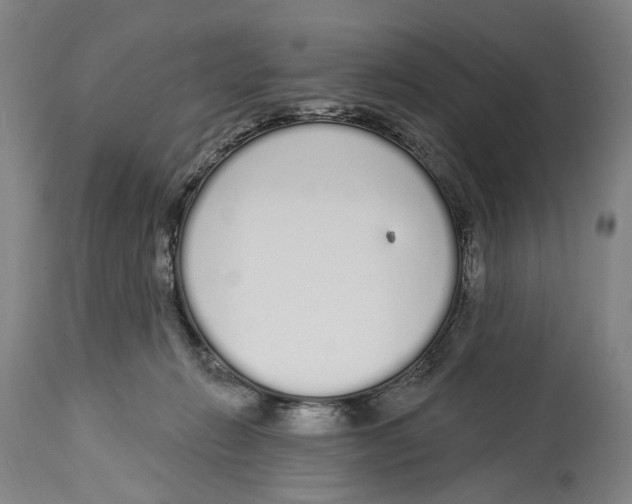 X0000115110270200911171312