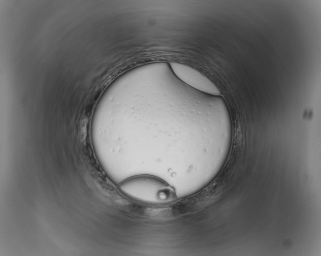 X0000115110271200911171312