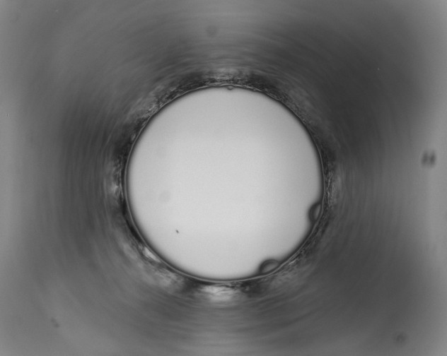 X0000115110272200911171312