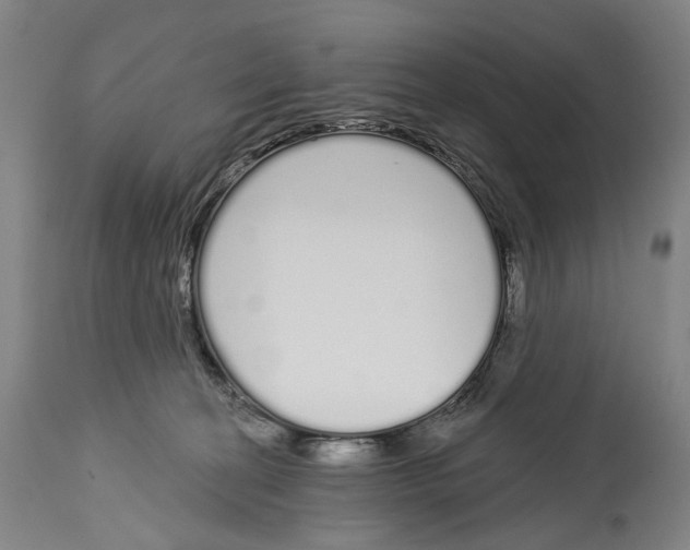 X0000115110274200911171312