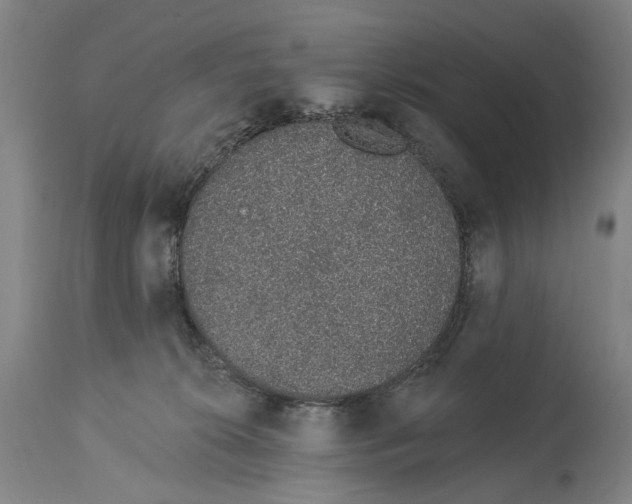 X0000115110276200911171312
