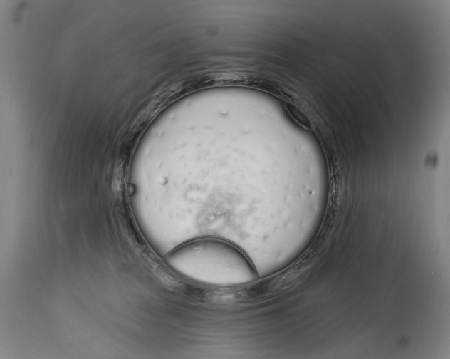 X0000115110277200911171312