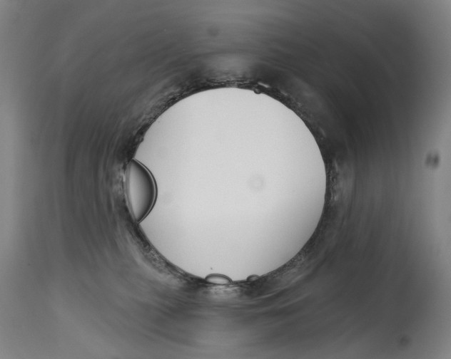 X0000115110279200911171312