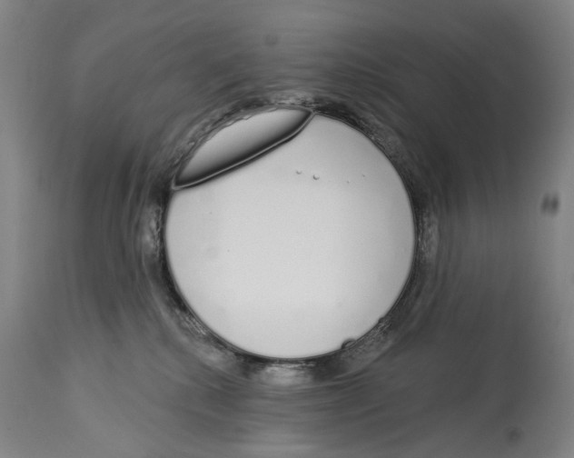 X0000115110280200911171312