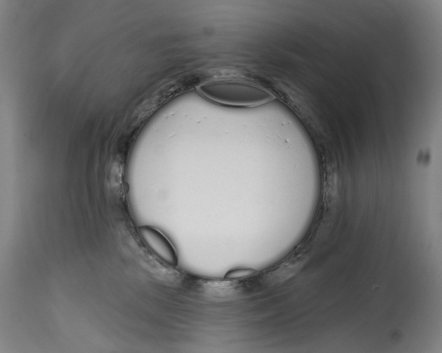 X0000115110281200911171312