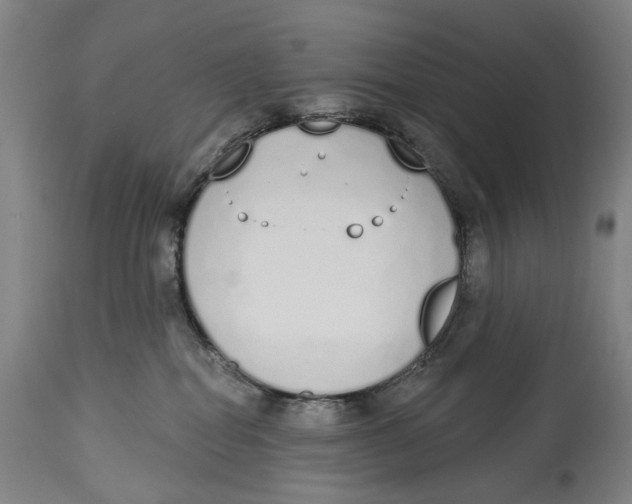 X0000115110282200911171312