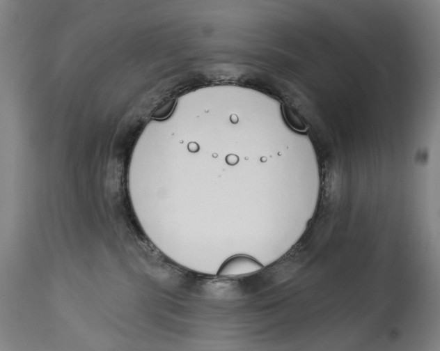 X0000115110283200911171312