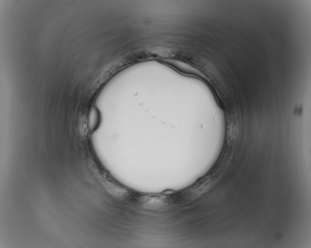 X0000115110285200911171312