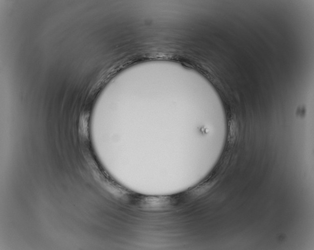 X0000115110286200911171312