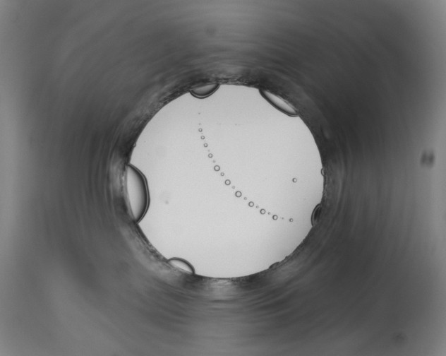 X0000115110287200911171312