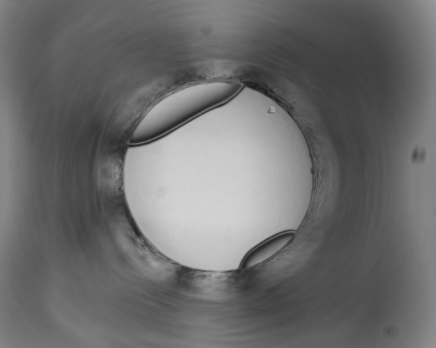 X0000115110288200911171312