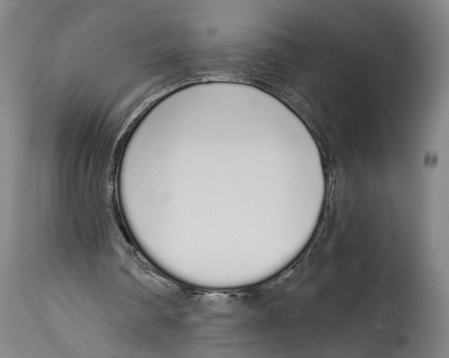 X0000115110290200911171311
