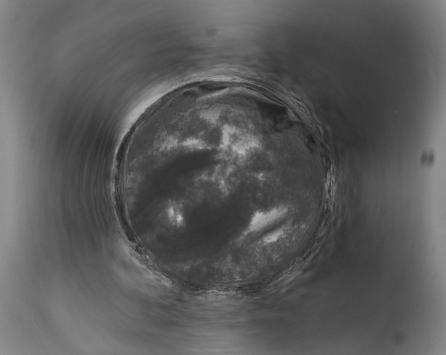 X0000115110292200911171311