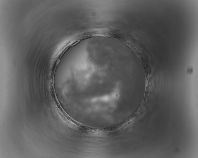 X0000115110293200911171311