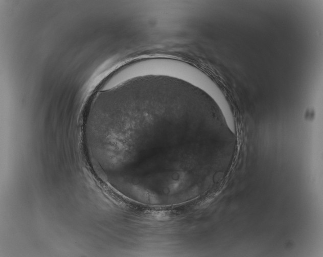 X0000115110295200911171311