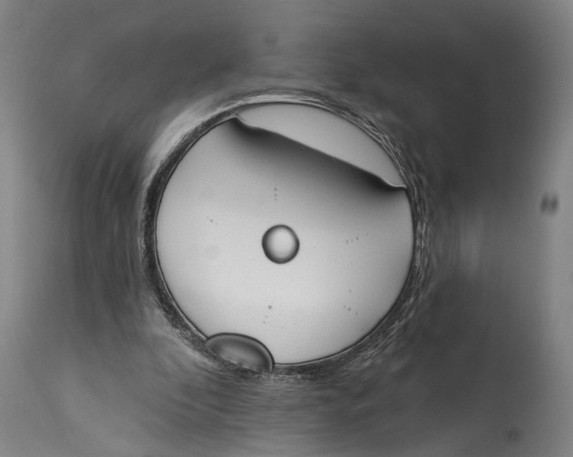 X0000115110296200911171311