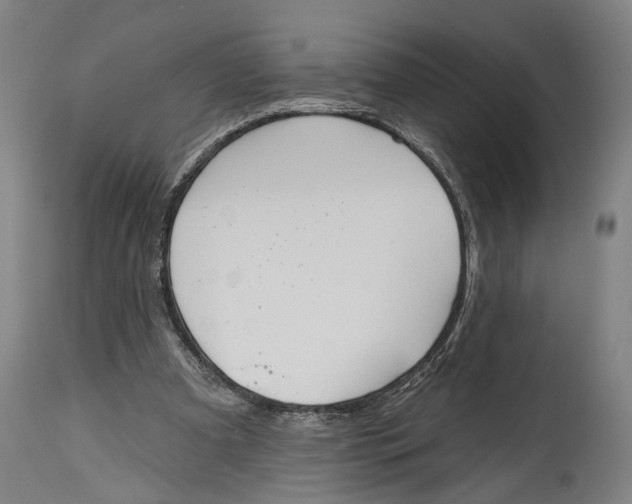X0000115110297200911171311