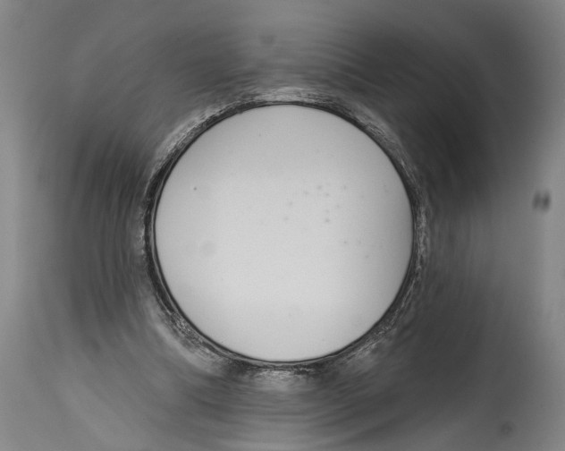 X0000115110298200911171311