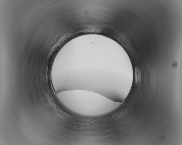 X0000115110300200911171311