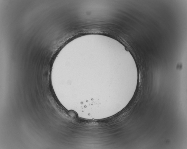X0000115110301200911171311