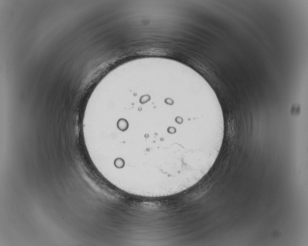 X0000115110302200911171311