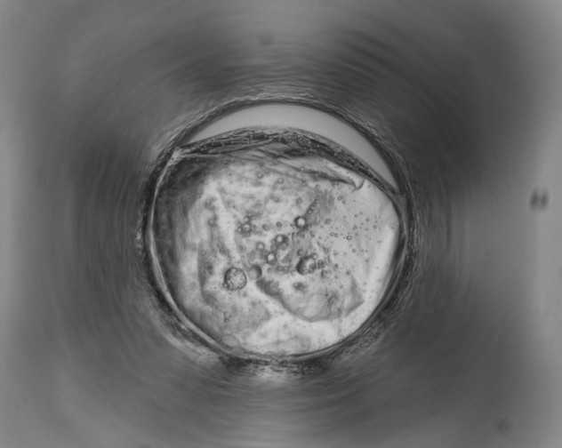 X0000115110303200911171311
