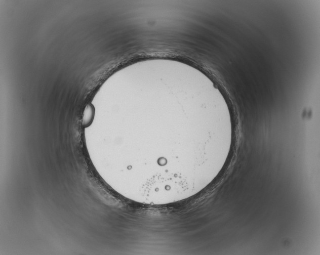 X0000115110305200911171311