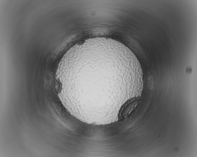 X0000115110308200911171311