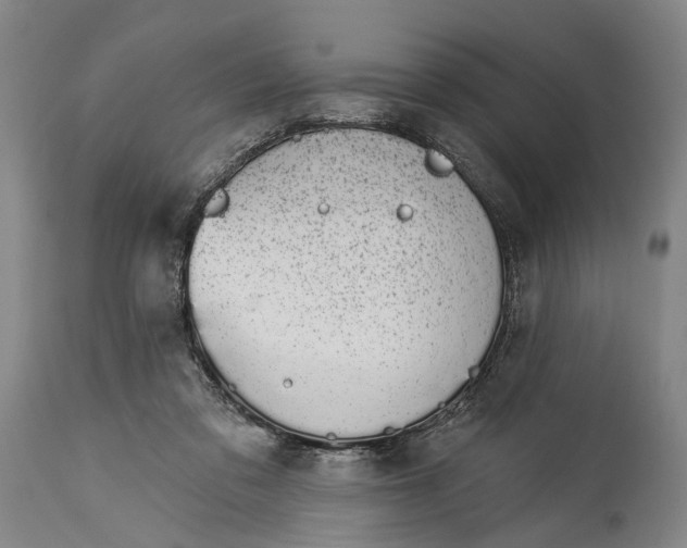 X0000115110309200911171311
