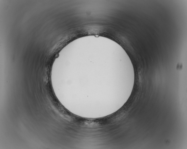 X0000115110311200911171311