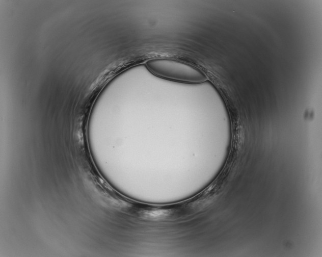 X0000115110312200911171311