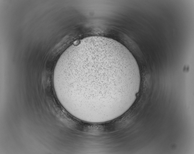X0000115110313200911171311