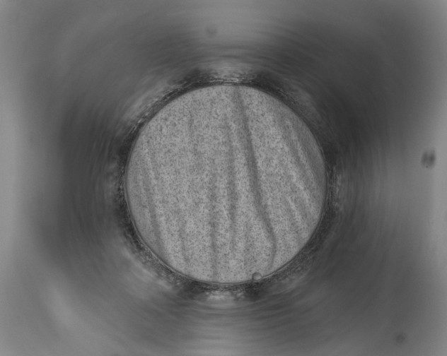 X0000115110314200911171311