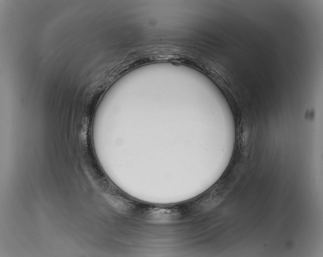 X0000115110315200911171311
