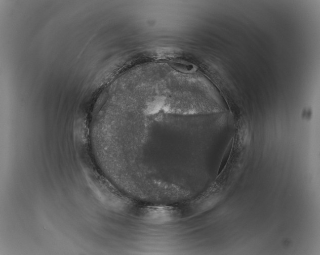 X0000115110316200911171311