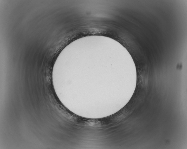 X0000115110317200911171311