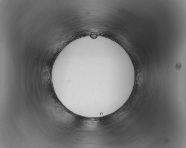 X0000115110318200911171311