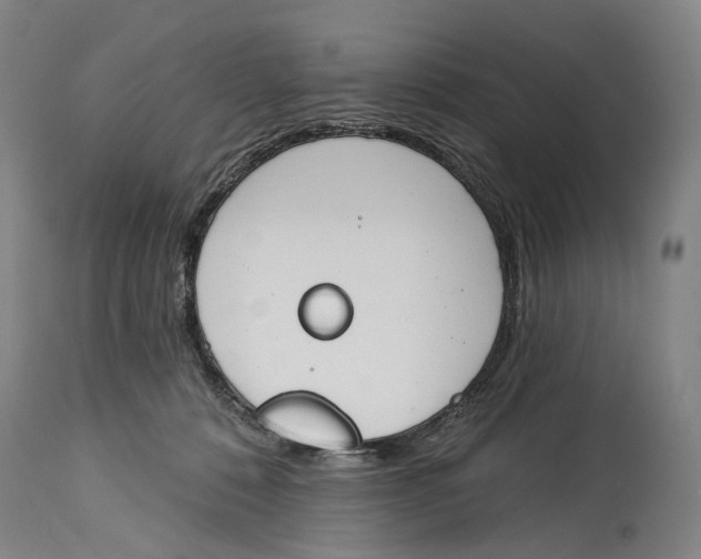 X0000115110320200911171311