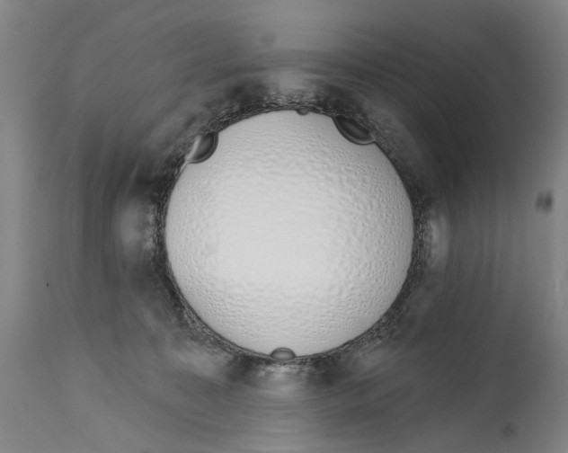 X0000115110323200911171311
