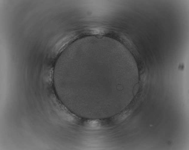 X0000115110325200911171311