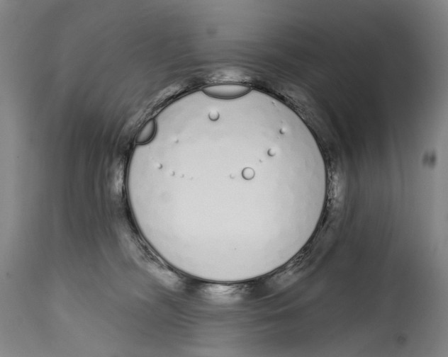 X0000115110326200911171311