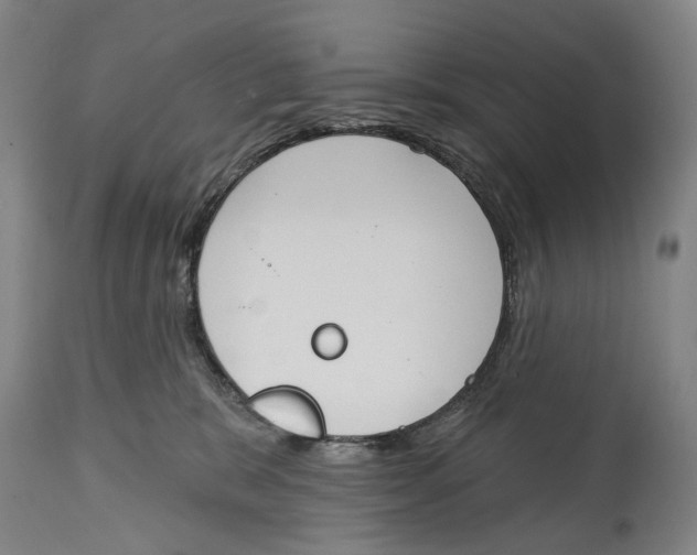 X0000115110327200911171311