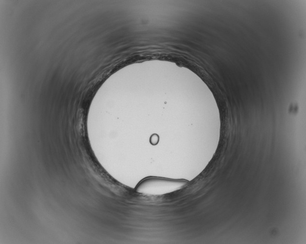 X0000115110328200911171311