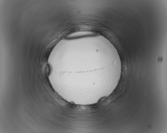 X0000115110329200911171311