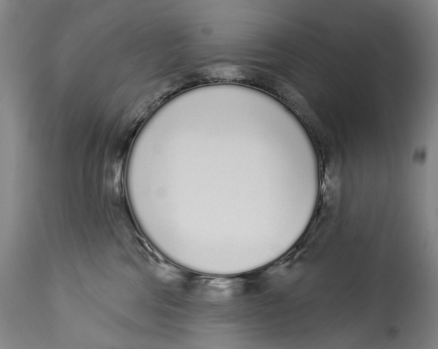 X0000115110330200911171311