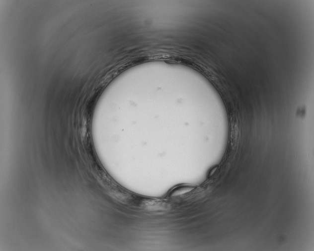 X0000115110331200911171311