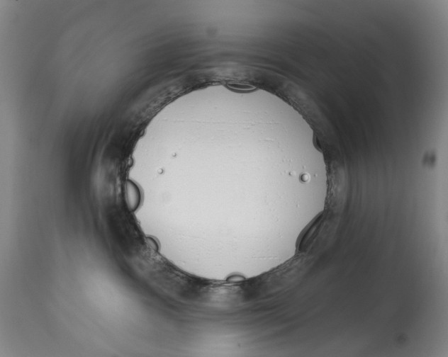X0000115110333200911171311