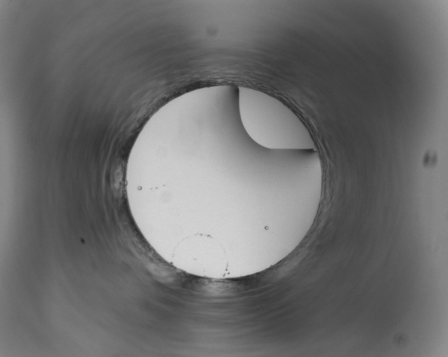 X0000115110336200911171311