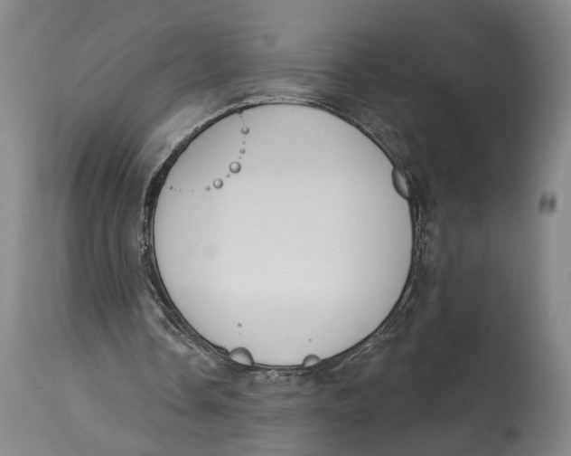 X0000115110338200911171310